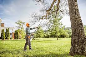 Professional Tree Removal and Landscaping Services in Trion, GA